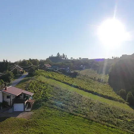 Σπίτι διακοπών Romantisches Kellerstoeckl - Jeruzalem Ivanjkovci