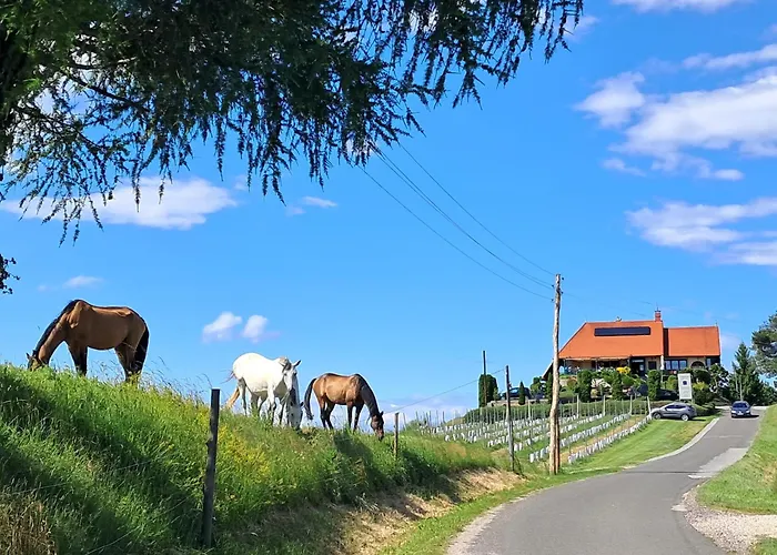 Romantisches Kellerstoeckl - Jeruzalem Casa vacanze Ivanjkovci